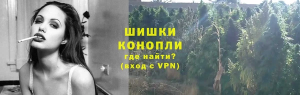 стаф Богородск