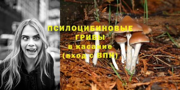кокаин перу Богданович