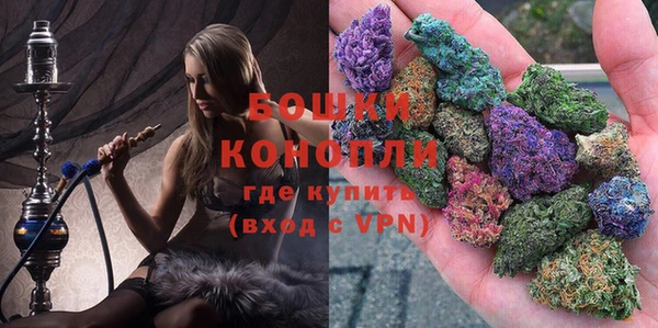 сатива Богородицк