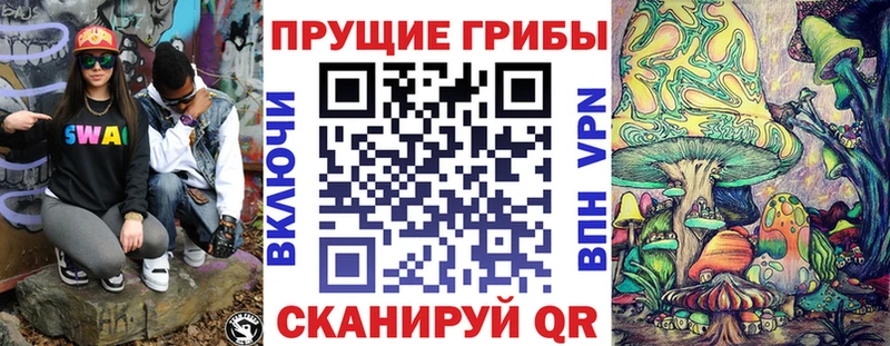 магазин продажи   Дальнегорск  Галлюциногенные грибы MAGIC MUSHROOMS 